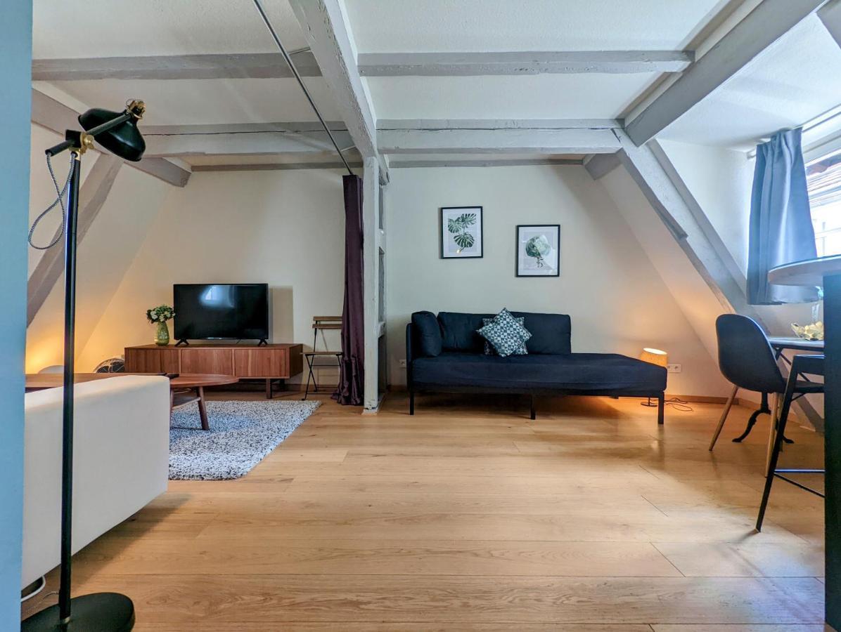 Citycosy Strasbourg - Authentique Batelier Exterior photo